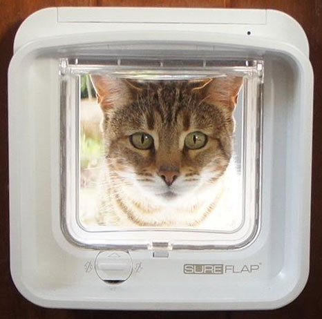 Sureflap Cat Flap SolidWorks Cambridge Industrial Design